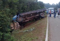 /album/galeria-de-fotos-galeria-de-fotos/a9423147-jpg/